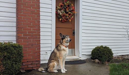 Comfort Cottage, 2 Bedrooms, Garden View, Garden Area