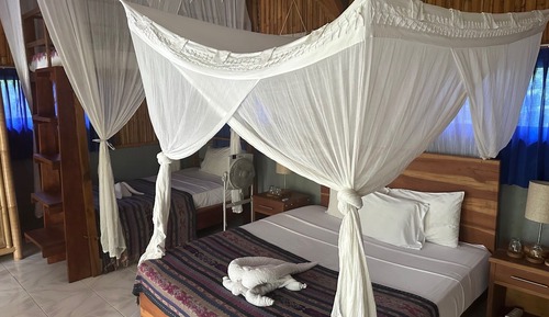 Economy Twin Room