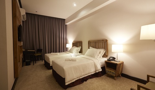 Deluxe Twin (Window)