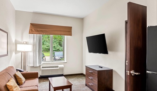 Suite, 1 King Bed, Accessible, Non Smoking (Efficiency)