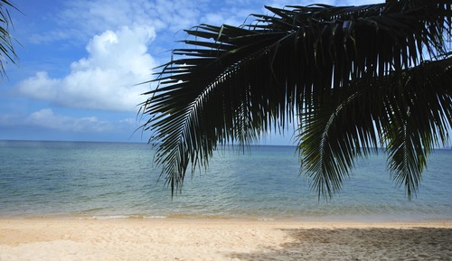 Standard Room, Beach View, Beachfront