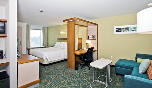 Studio, 1 King Bed with Sofa bed