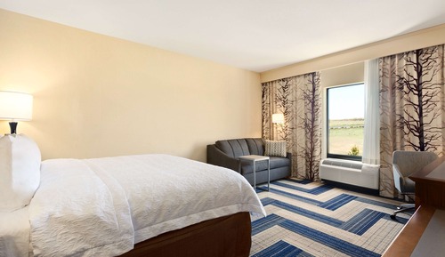 Room, 1 King Bed with Sofa bed