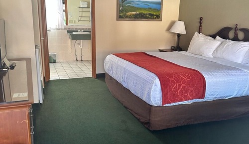 Deluxe Room, 1 King Bed, Non Smoking