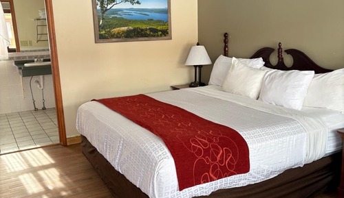 Deluxe Room, 1 King Bed, Non Smoking