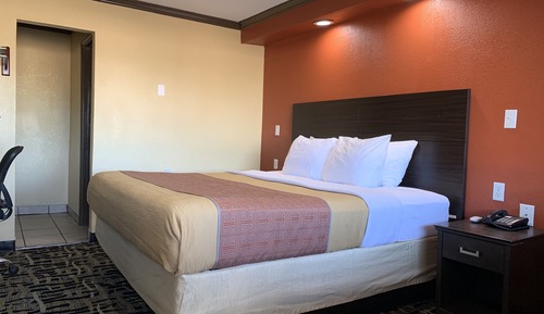 Standard Single Room, 1 King Bed