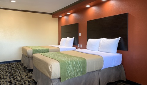 Standard Double Room, 2 Double Beds
