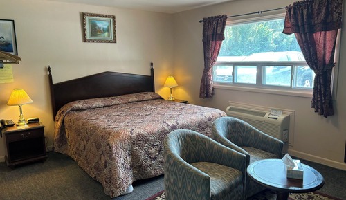 Room, 1 King Bed