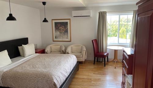 Room, 1 King Bed