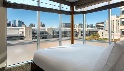 Executive Suite, 1 King Bed