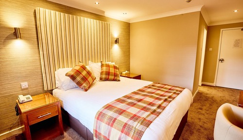 King Room (with Shower)