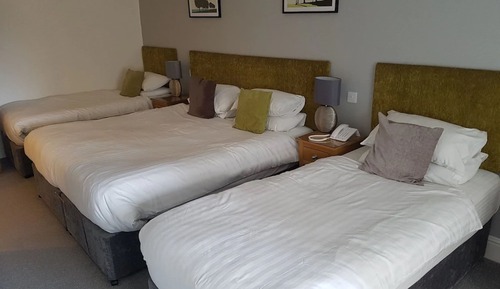 Family Room (Standard)