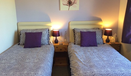 Deluxe Double or Twin Room, Non Smoking