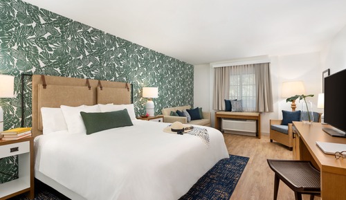 Room, 1 King Bed
