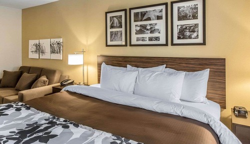 Suite, 1 King Bed, Accessible, Non Smoking