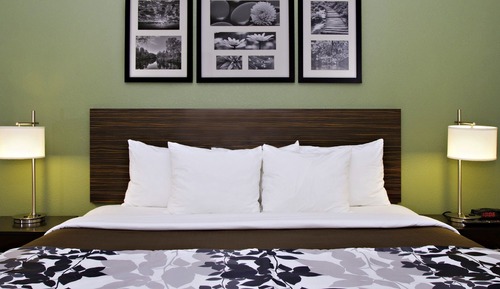 Standard Room, 1 King Bed, Non Smoking