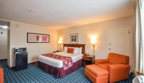 Single Room, 1 King Bed