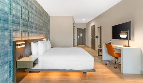 Room, 1 King Bed, Roll-in Shower, Non Smoking