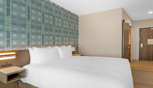 Standard Room, 1 King Bed, Non Smoking