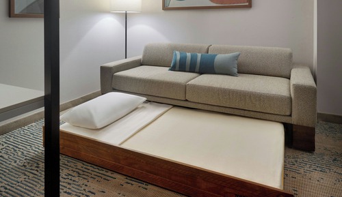 Suite, 1 King Bed with Sofa bed