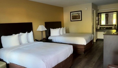 Basic Double Room