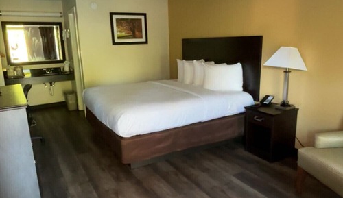 Basic Single Room