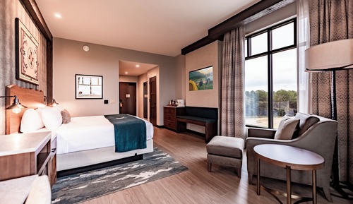 Room, 1 King Bed, Non Smoking, Tower