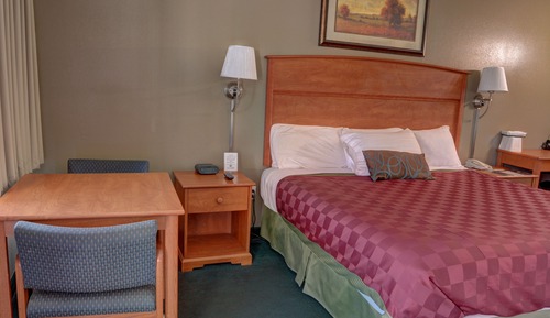 Superior Single Room, 1 Queen Bed