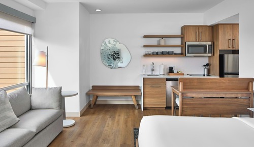 Studio, 1 King Bed with Sofa bed