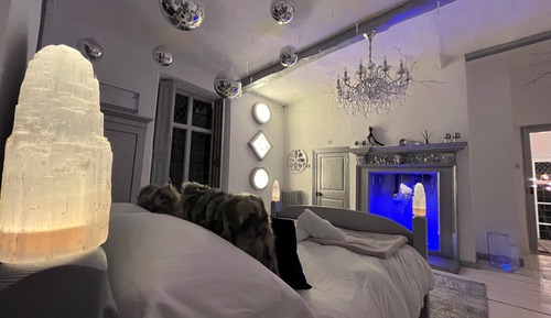 Deluxe Double or Twin Room, 1 Queen Bed, Garden View