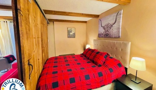 Apartment, 1 Queen Bed with Sofa bed, Non Smoking, Pets Not Allowed