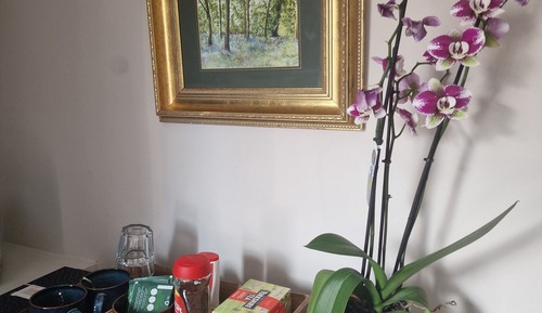 Luxury Double Room, City View