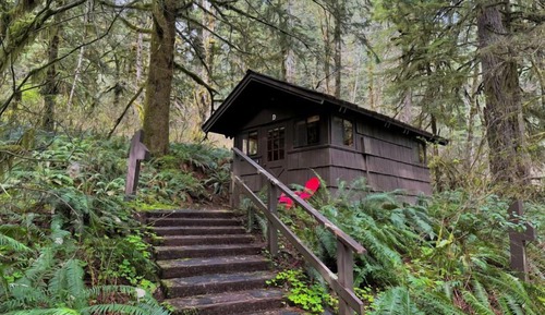 Tiny Cabin, Non Smoking