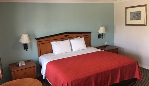 Deluxe Single Room, Patio, Garden View