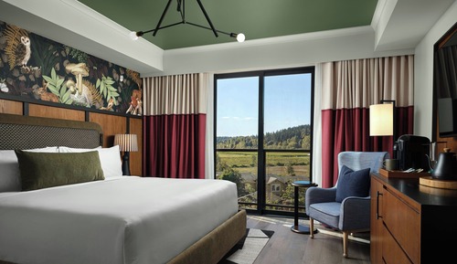 Deluxe Room, 1 King Bed, City View