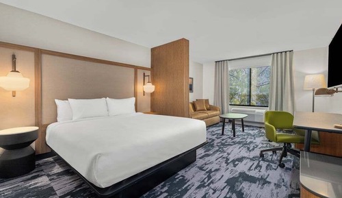 Suite, 1 King Bed with Sofa bed