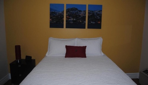 Comfort Single Room, Non Smoking, Pets Allowed