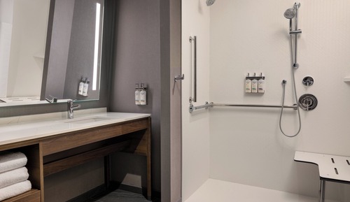 Studio Suite, 1 King Bed, Roll-in Shower, Kitchen (Mobility)