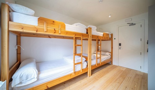 Standard Shared Dormitory