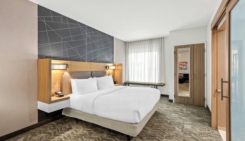 Suite, 1 King Bed with Sofa bed