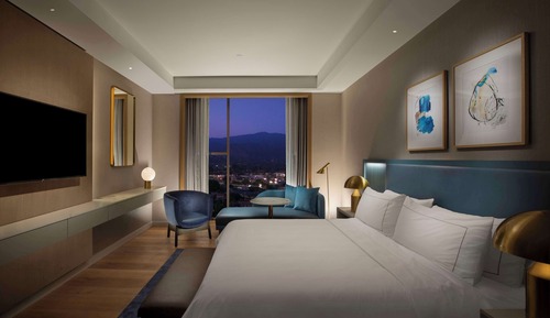 Room, 1 King Bed, Accessible (Roll-In Shower)