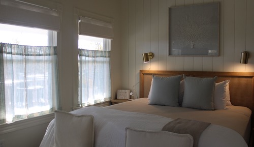 Premier Room, Pets Allowed, Ocean View