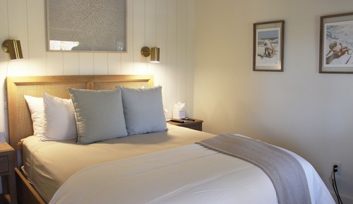 Standard Room, 1 Queen Bed, Pets Allowed
