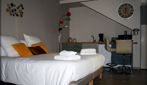 Basic Apartment, Ensuite, Garden View