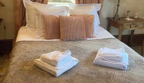 Family Room, Mountain View