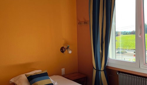 Classic Single Room, Mountain View