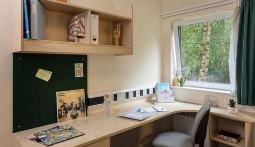 Single Room, Non Smoking