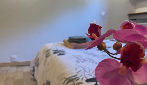 Classic Room, River View