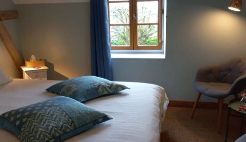 Basic Room, Garden View