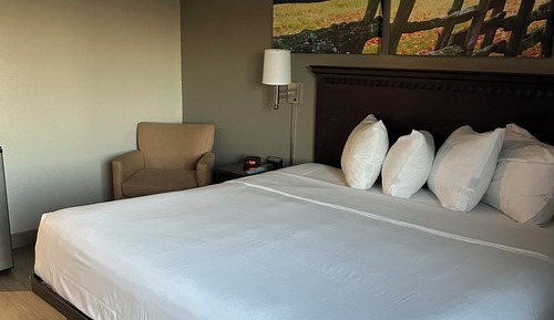 Standard Single Room, 1 Queen Bed